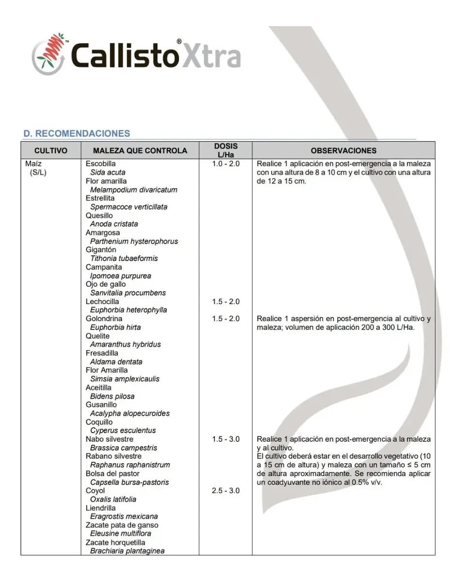 Callisto Xtra 1 Lt Herbicida Coquillo Y Hojas Anchas