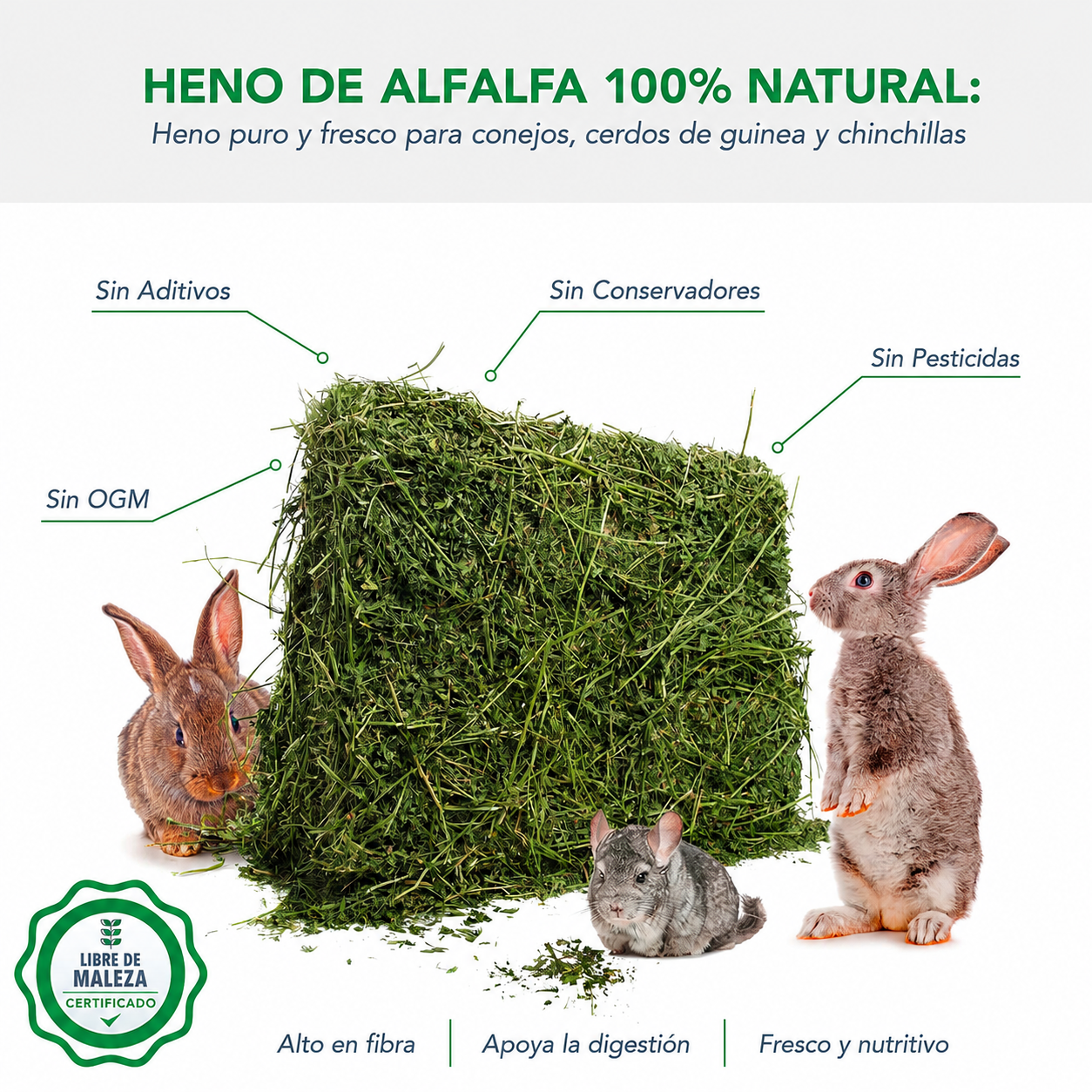 Heno De Alfalfa Orgánica Premium Para Cuyo, Conejo Y Roedores 2 kg