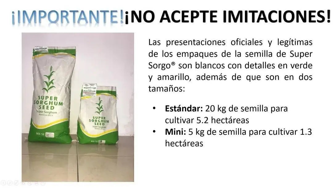 1 KG Semilla Super Sorgo Se19 Para 1.3 Ha Hasta 300 Tons/ha