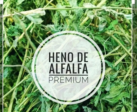 Heno De Alfalfa Orgánica Premium Para Cuyo, Conejo Y Roedores 2 kg